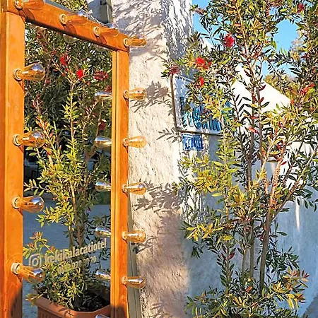 Kekik Catina Otel 3*